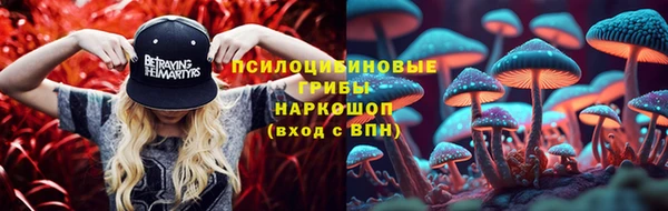MESCALINE Вяземский