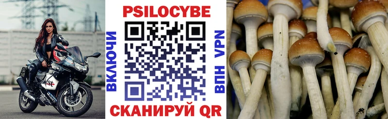 Галлюциногенные грибы мухоморы  Купить где  Белозерск 